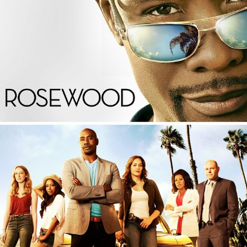 Morris Chestnut Talks Season 2 of FOX Hit Series “Rosewood” & More